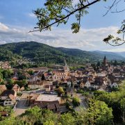 munster 2021 vue du Narrenstein