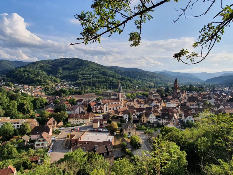 munster 2021 vue du Narrenstein