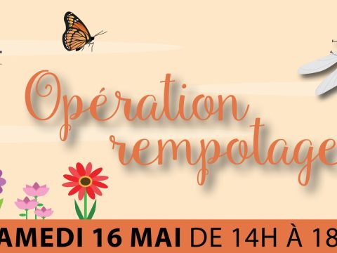 Couverture Op rempotage