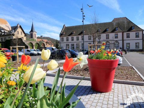 482251406_1059133429587771_7004138188496631607_n