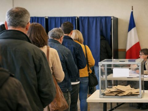 photo élections chat