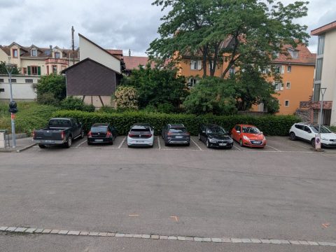 PXL_20260604_055926109